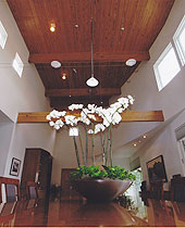 Interiorscape